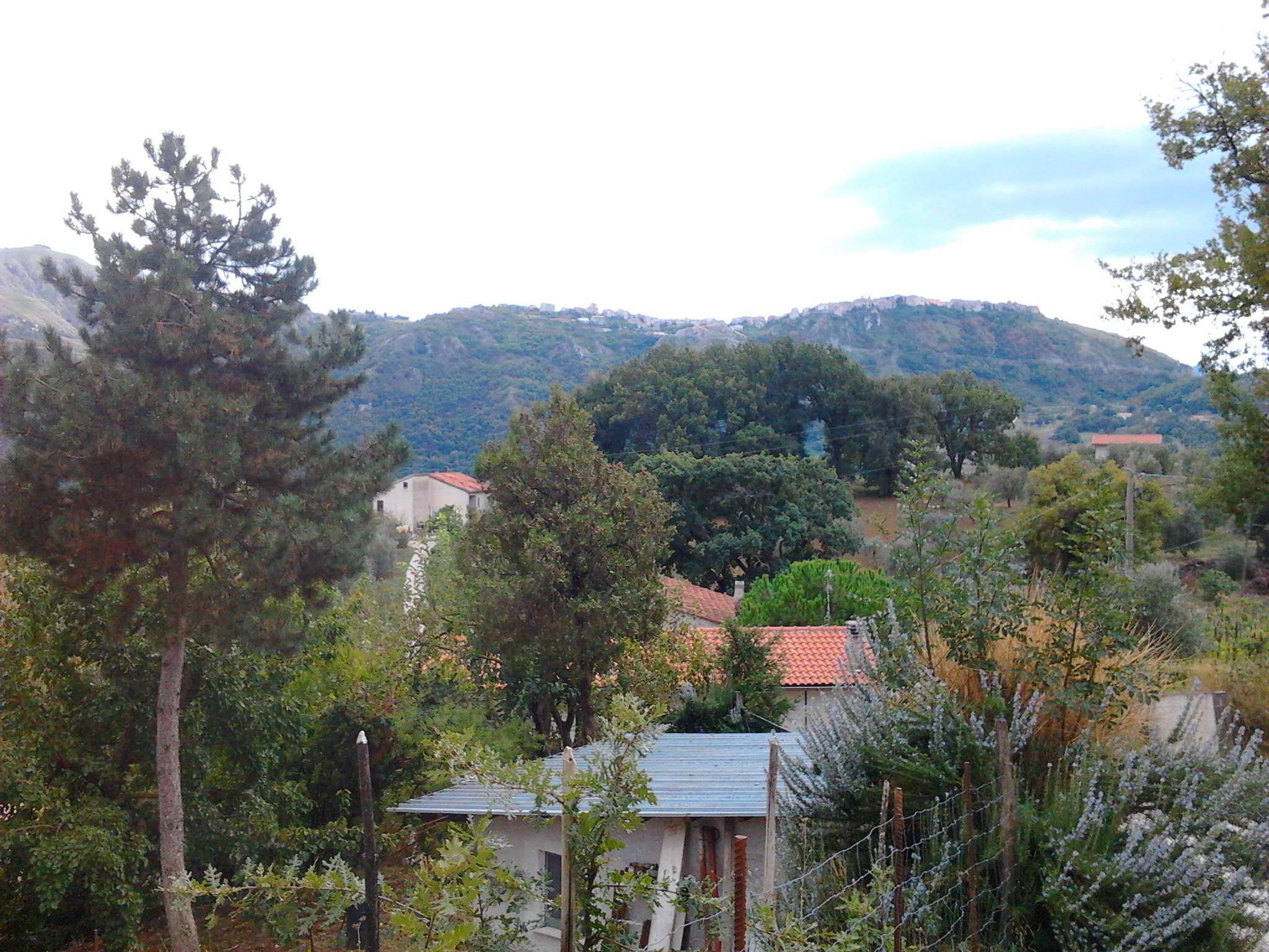 Foto0743
